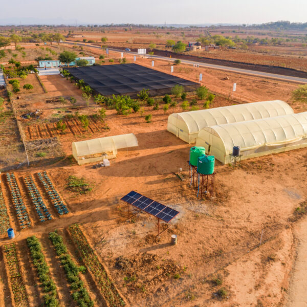 Investing Beyond Mining Farm