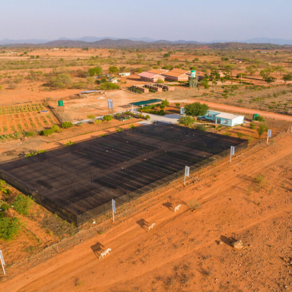 Investing Beyond Mining Gallery 6